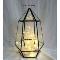 led handblown Geometric Glass Terrarium Wholesale table indoor decoration glass plant terrarium